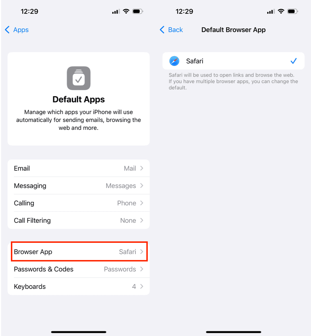 如何從iPhone中刪除Safari：終極指南