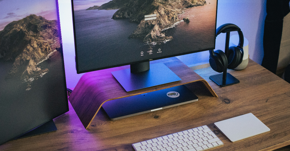 在Windows 11中修復“搜索欄不起作用”的5種方法