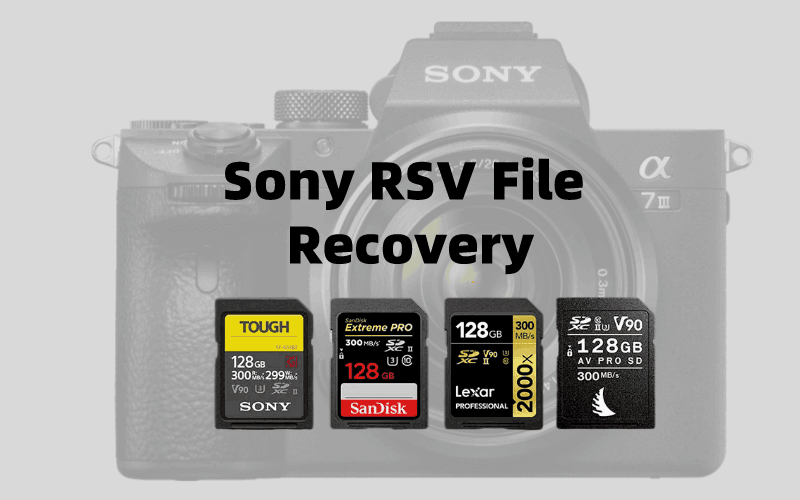 [解決]如何輕鬆恢復Sony RSV文件