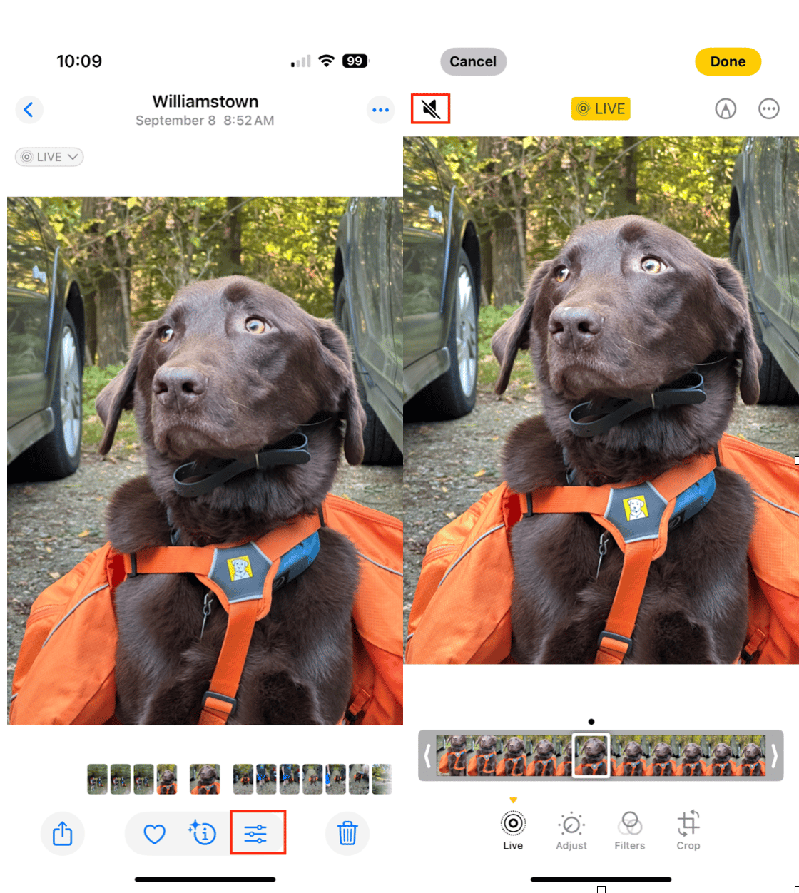 现场照片有声音吗？这是您需要知道的