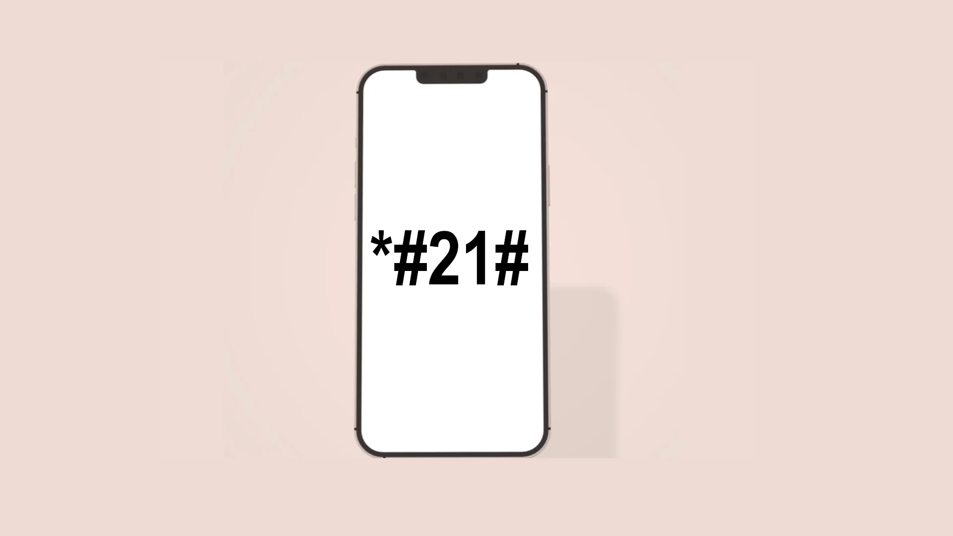 iPhone 的秘密拨号器代码